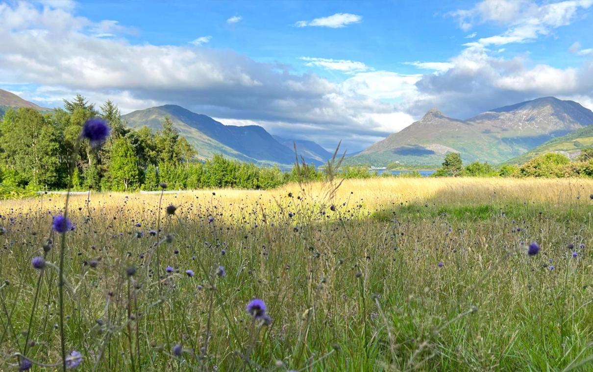St John'S Old Rectory Otel Glencoe Dış mekan fotoğraf